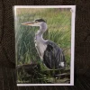 Heron Greetings Card