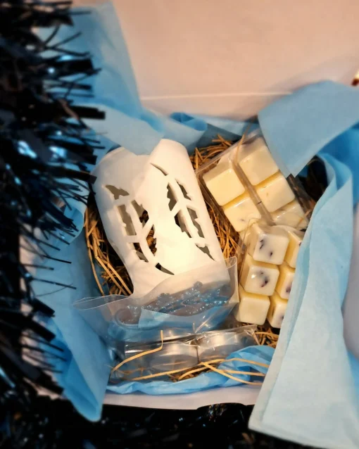 Jacis of York: Wax Burner and 2 Packs of 6 Wax Melts - Gift Set