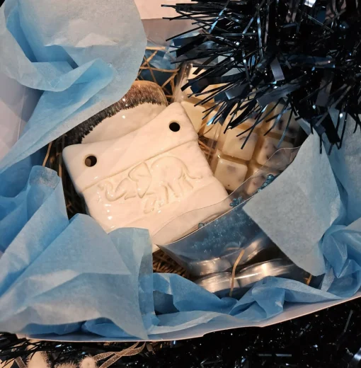 Jacis of York: Wax Burner and 2 Packs of 6 Wax Melts - Gift Set