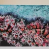 Jewel Anemones -Greetings Card