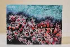 Jewel Anemones -Greetings Card