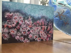 Jewel Anemones -Greetings Card