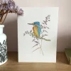 Kingfisher Card