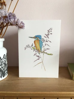 Kingfisher Card