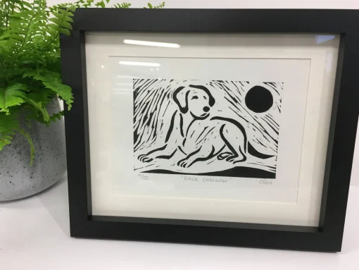 Labrador