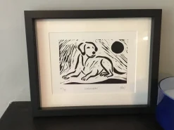 Labrador
