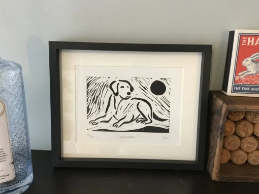 Labrador