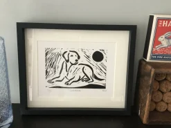 Labrador