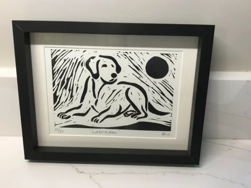 Labrador