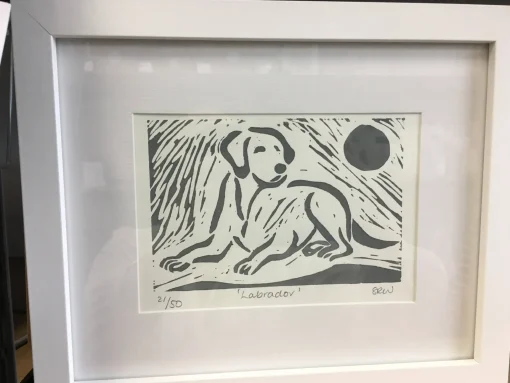 Labrador