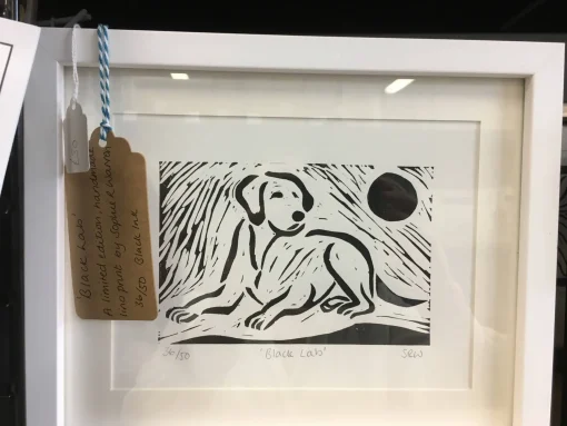Labrador