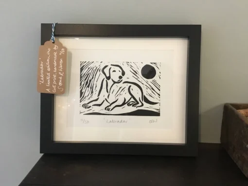 Labrador