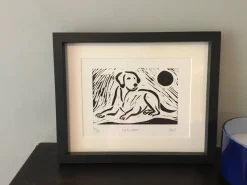 Labrador