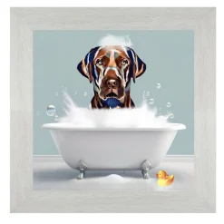 LABRADOR DOG - BATH TIME.