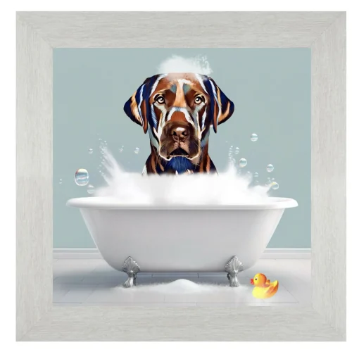 LABRADOR DOG - BATH TIME.