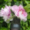 Leafy Flower Vase