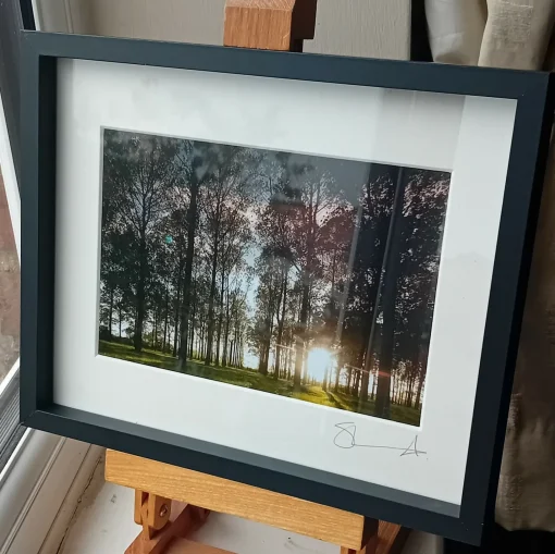 Leafy Trees (Small Frame)