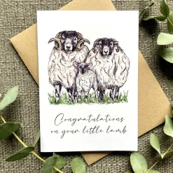 Little Lamb New Baby Greetings Card