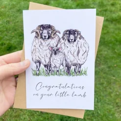 Little Lamb New Baby Greetings Card