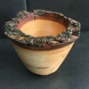 Live Edge Oak Bowl - Rustic