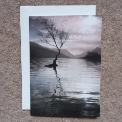 Llyn Padarn tree - card