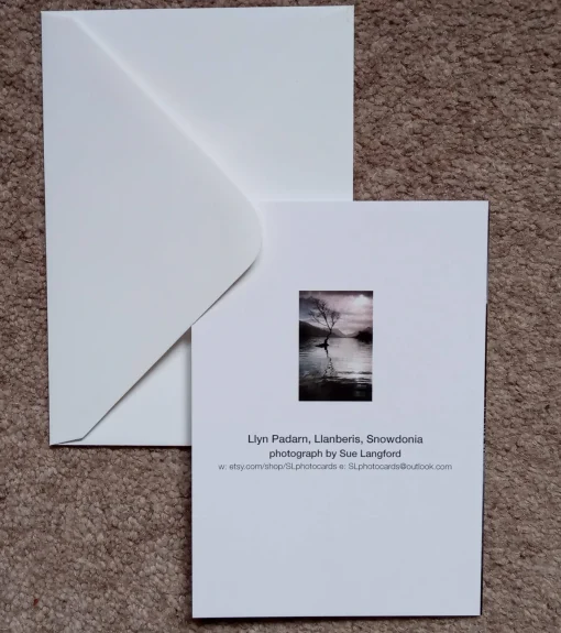 Llyn Padarn tree - card