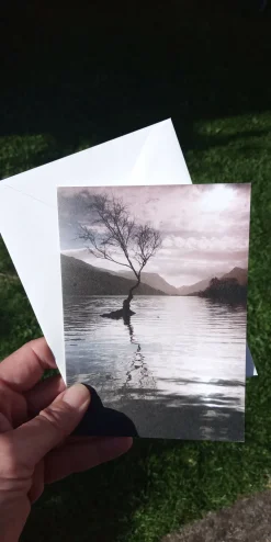 Llyn Padarn tree - card