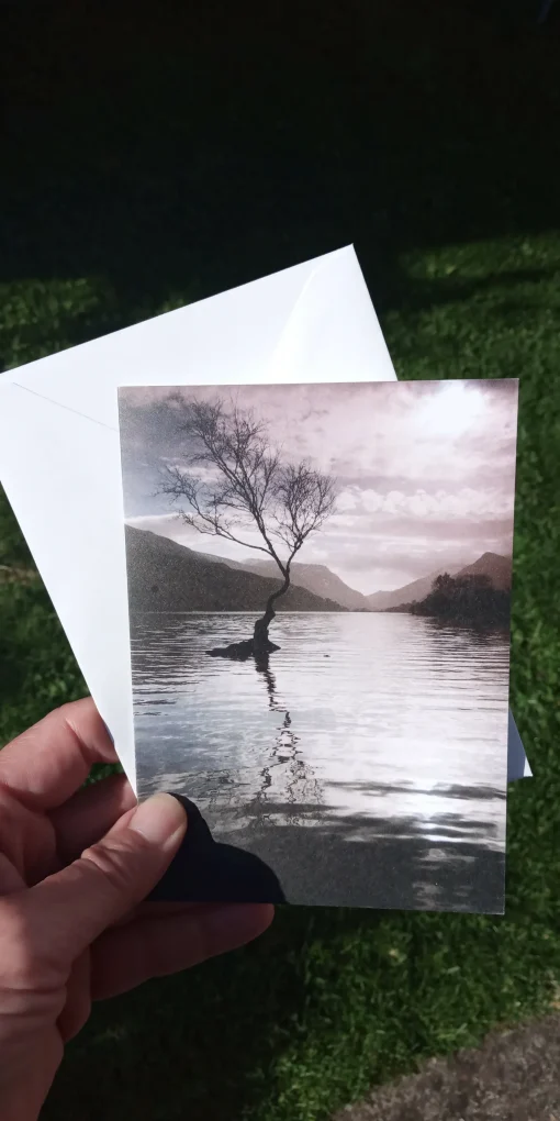 Llyn Padarn tree - card