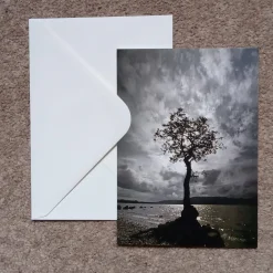 Loch Lomond oak tree - card