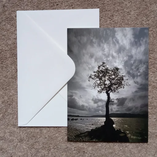 Loch Lomond oak tree - card