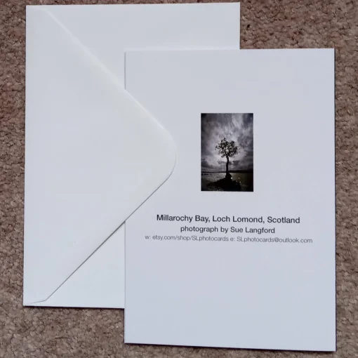 Loch Lomond oak tree - card