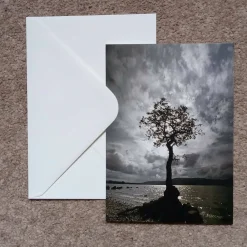 Loch Lomond oak tree - card