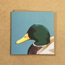 Mallard Drake Greetings Card