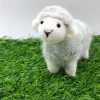 Mary, The Herdwick Sheep.