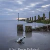 Message In The Groynes