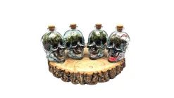 Mini Skull Terrarium