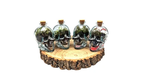 Mini Skull Terrarium