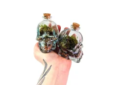Mini Skull Terrarium