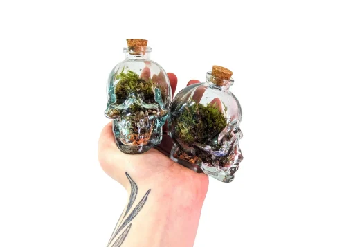 Mini Skull Terrarium