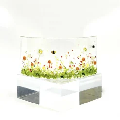 Oriental Daisy NMW