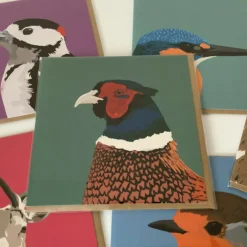 Pheasant Greetings Card
