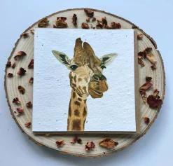 Plantable Wildflower Card - Giraffe