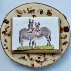 Plantable Wildflower Card - Donkey Duo