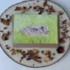 Plantable Wildflower Card - Meadow Hare
