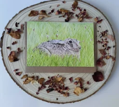 Plantable Wildflower Card - Meadow Hare