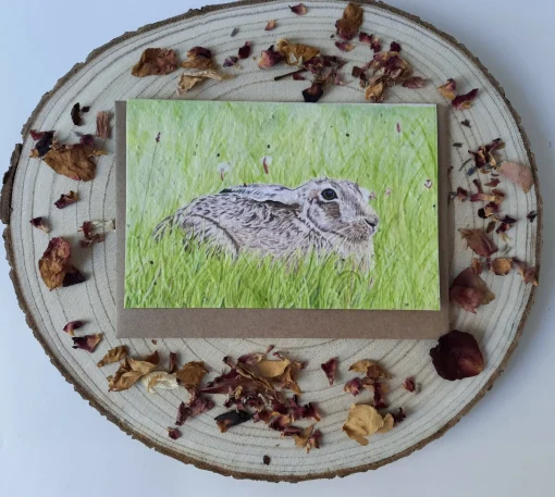Plantable Wildflower Card - Meadow Hare