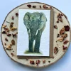 Plantable Wildflower Card - African Elephant