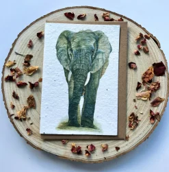 Plantable Wildflower Card - African Elephant