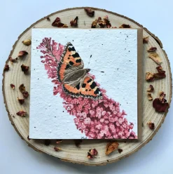 Plantable Wildflower Card - Butterfly Design