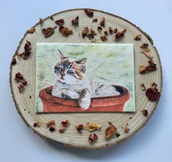 Plantable Wildflower Card - Cosy Cat